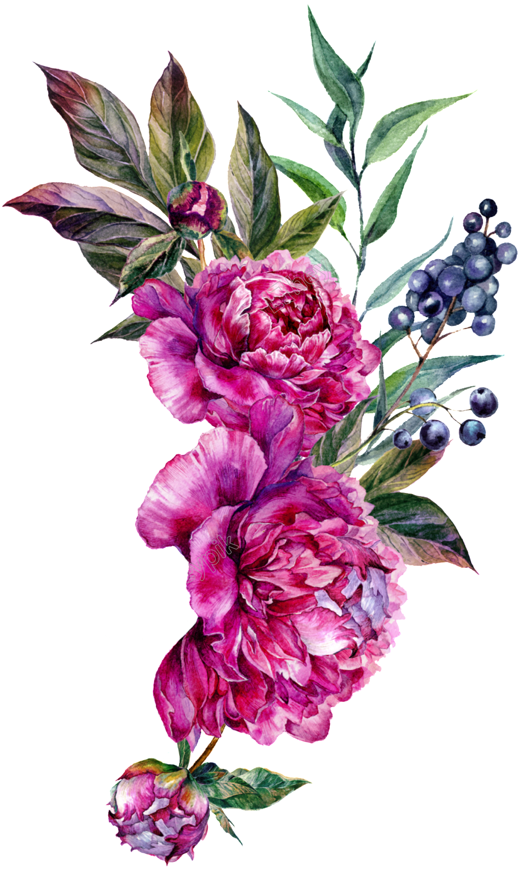 Picture Flower Artwork PNG File HD PNG Image