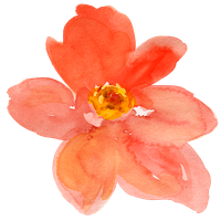 Download Flowers Free PNG photo images and clipart | FreePNGImg