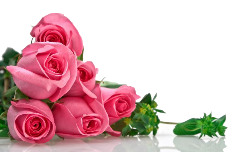 pink roses bouquet png