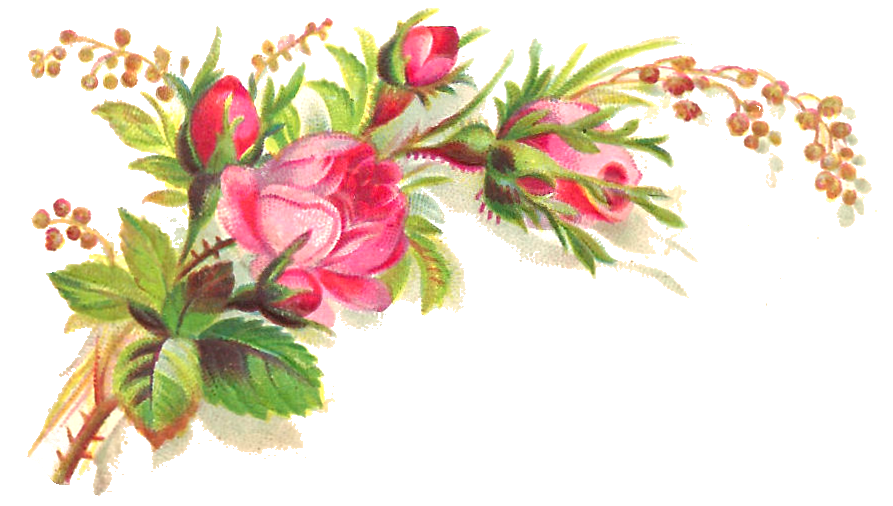 Pink Roses Flowers Bouquet Transparent Background PNG Image