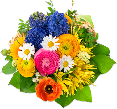 Flowers Image PNG Image