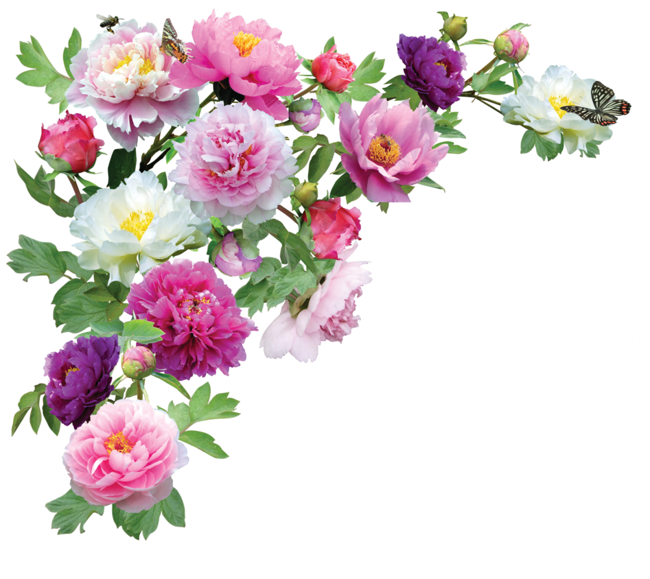 Using Flowers Png Hd Black