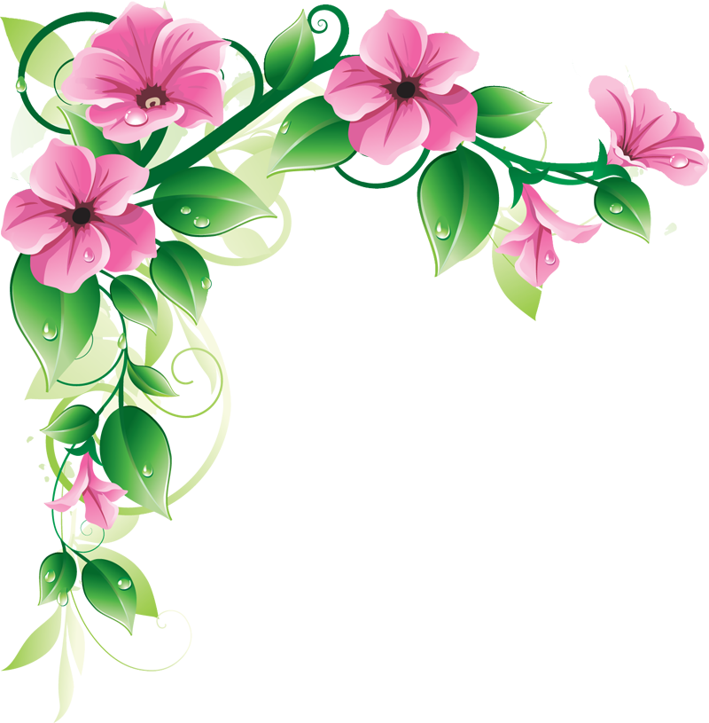 Flowers Borders High-Quality Png PNG Image
