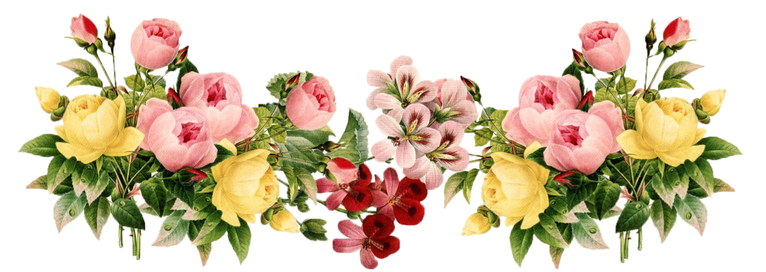 Flowers Png 3 PNG Image