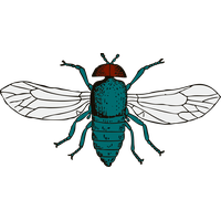 Fly Png 9 PNG Image