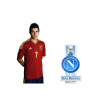 David Villa Picture