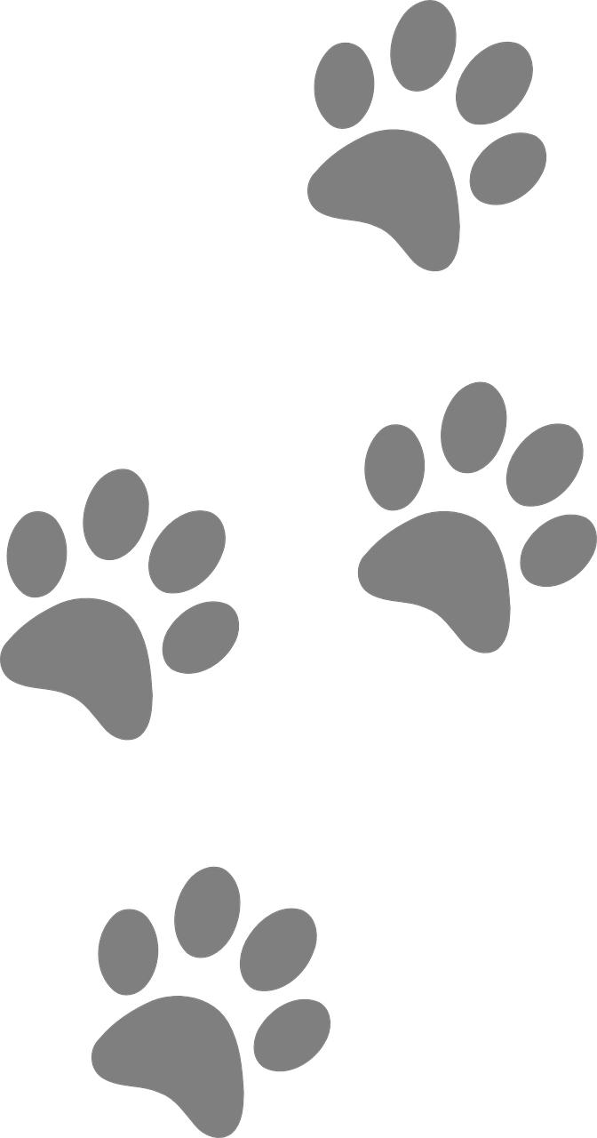 Footprint Animal Free HQ Image PNG Image