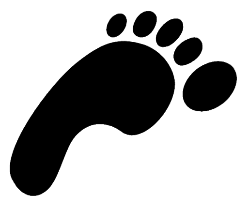 Walking Footprints Free HQ Image PNG Image