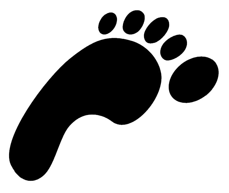 Footprints Transparent PNG Image