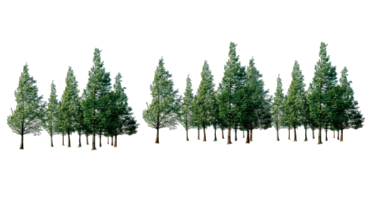 Pic Tree Forest Free Transparent Image HQ PNG Image