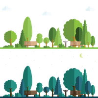 Spina Regional Park Vector Forest Night Verde