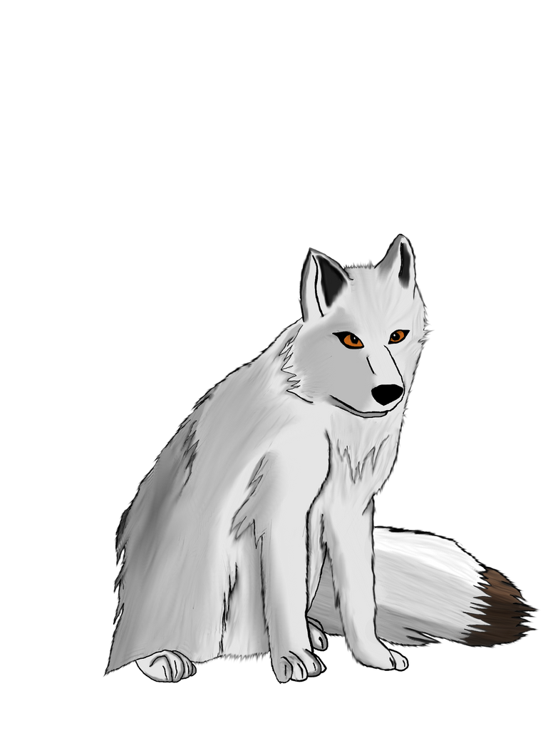 White Fox Arctic PNG Image High Quality PNG Image