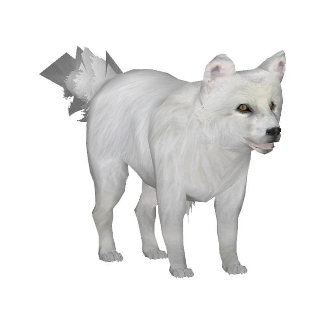 Picture White Fox Arctic PNG Image High Quality PNG Image