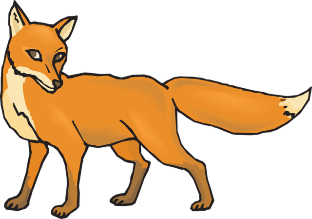 Cute Vector Fox Free Transparent Image HD PNG Image