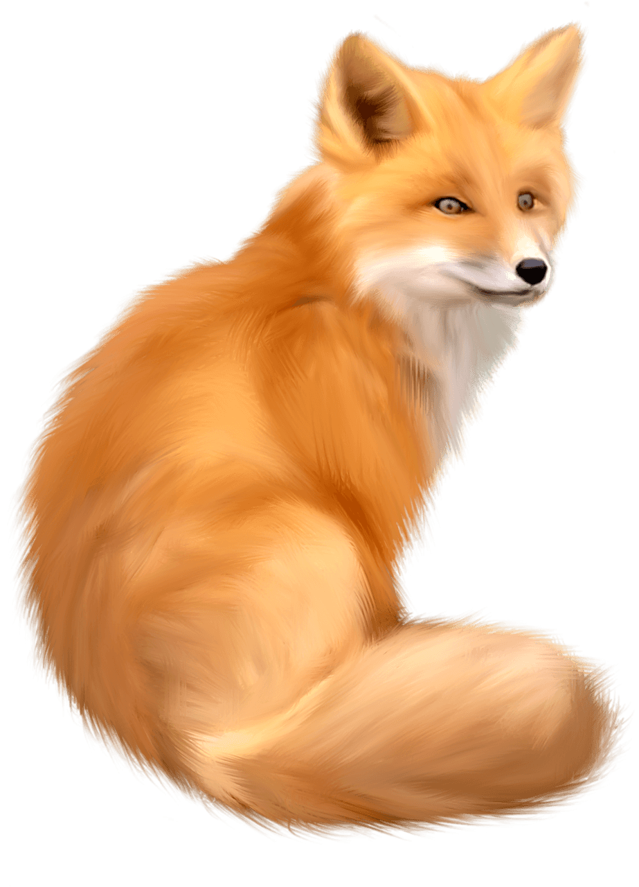 Download Fox Png Image Download Picture HQ PNG Image | FreePNGImg