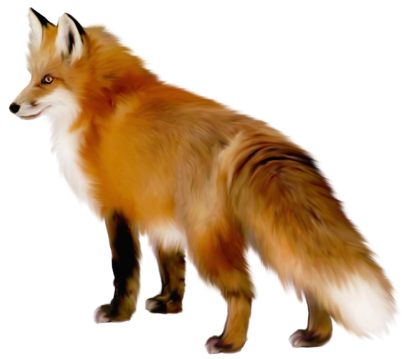 Artistic Fox Clipart PNG Image