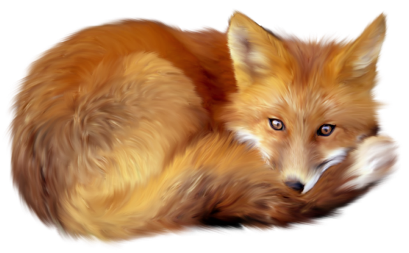 Fox Png 5 PNG Image