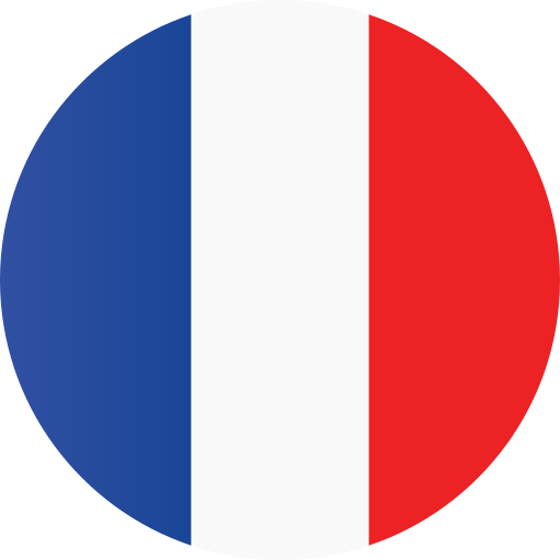 Download France Flag Free Png Image HQ PNG Image | FreePNGImg