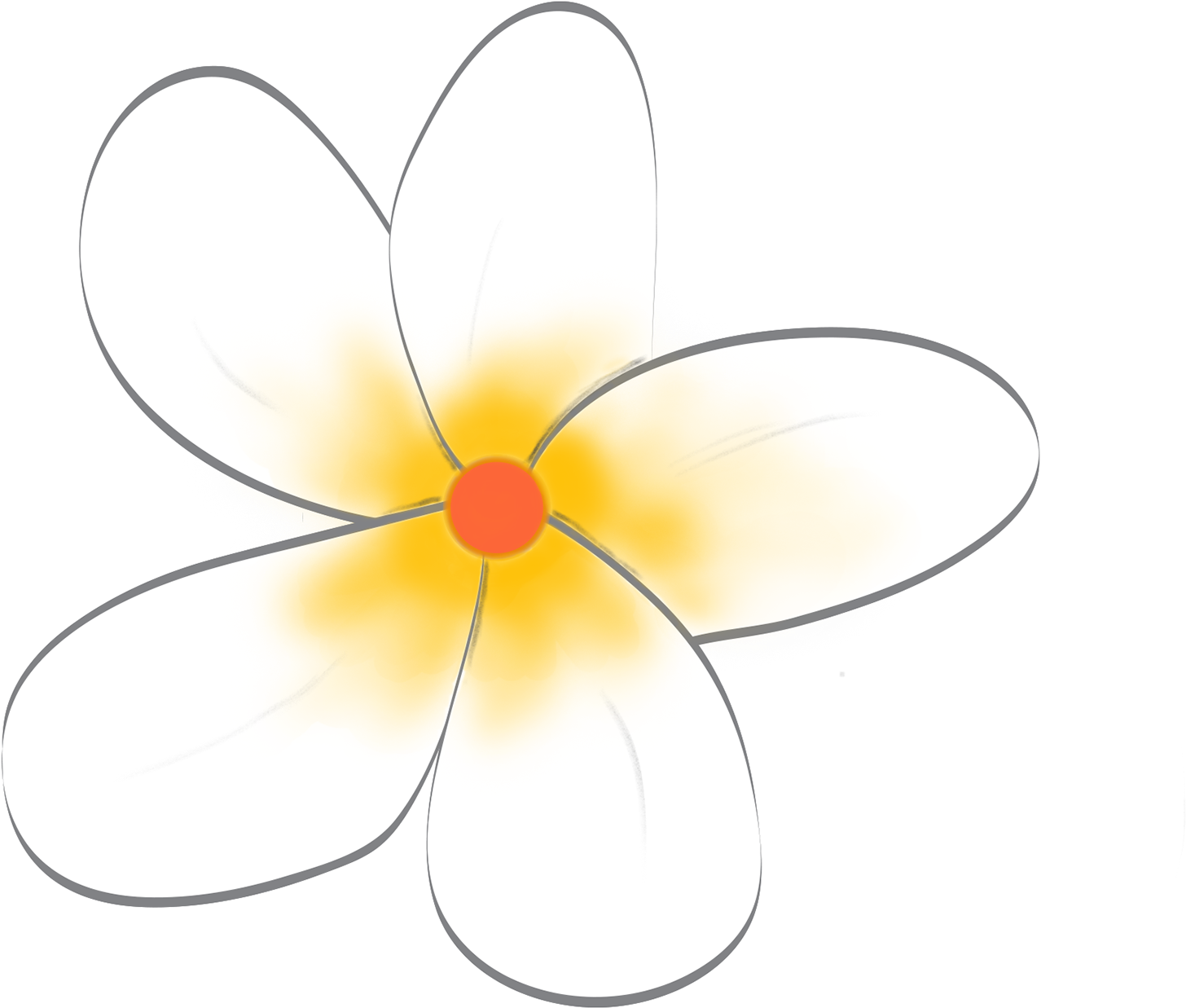 Frangipani White Flower Download HQ PNG Image