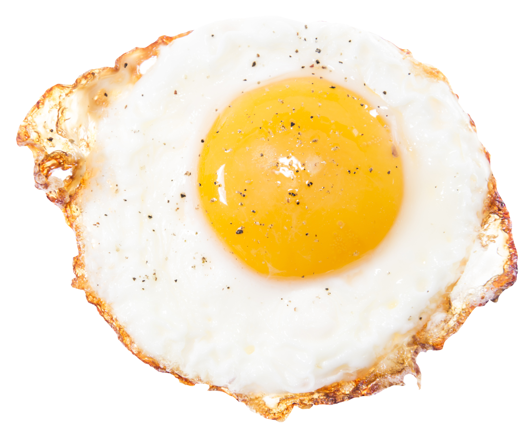 Fried egg Transparent PNG Image