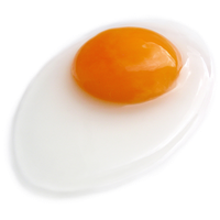 Fried egg PNG