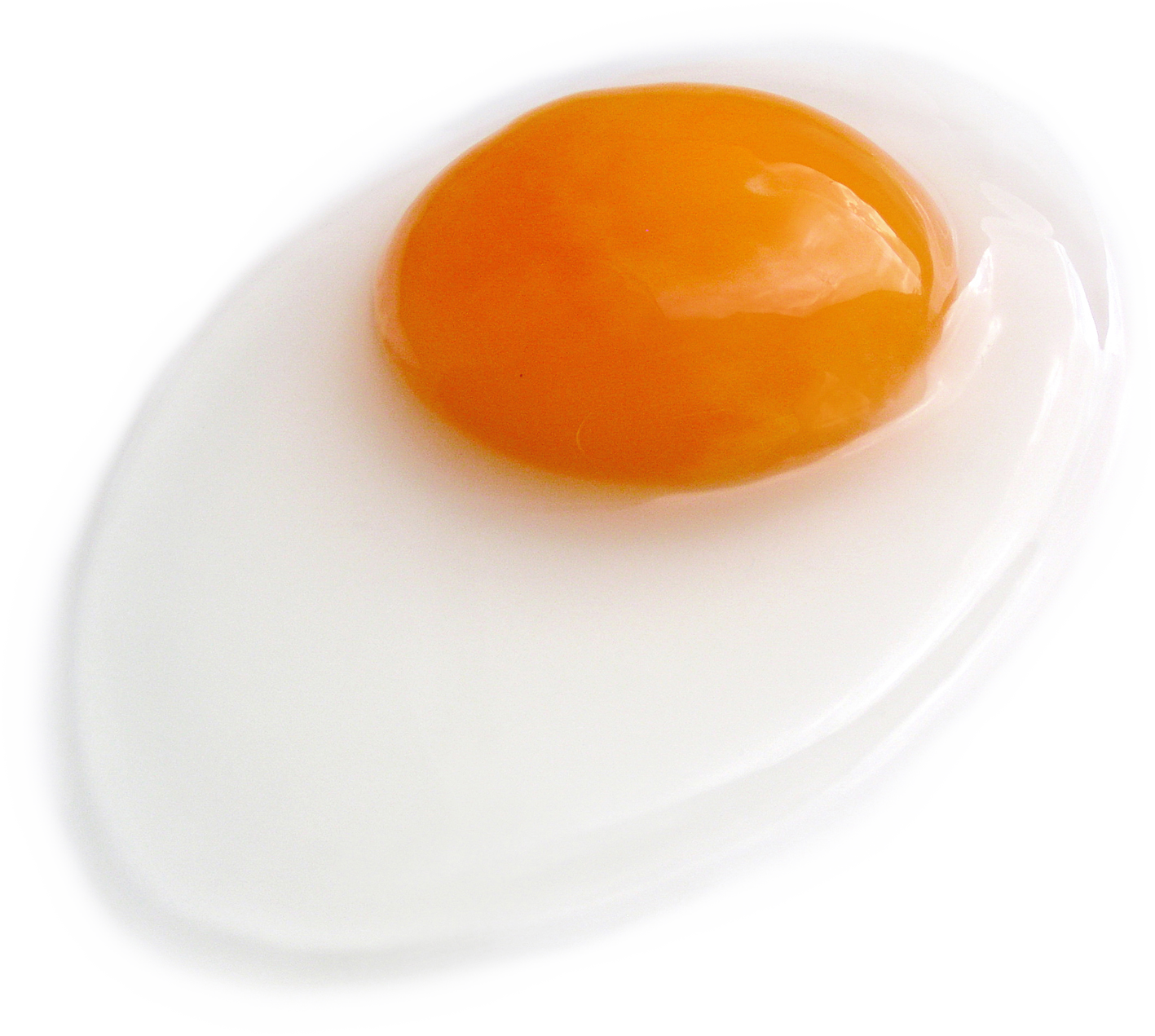 Fried egg Transparent PNG Image