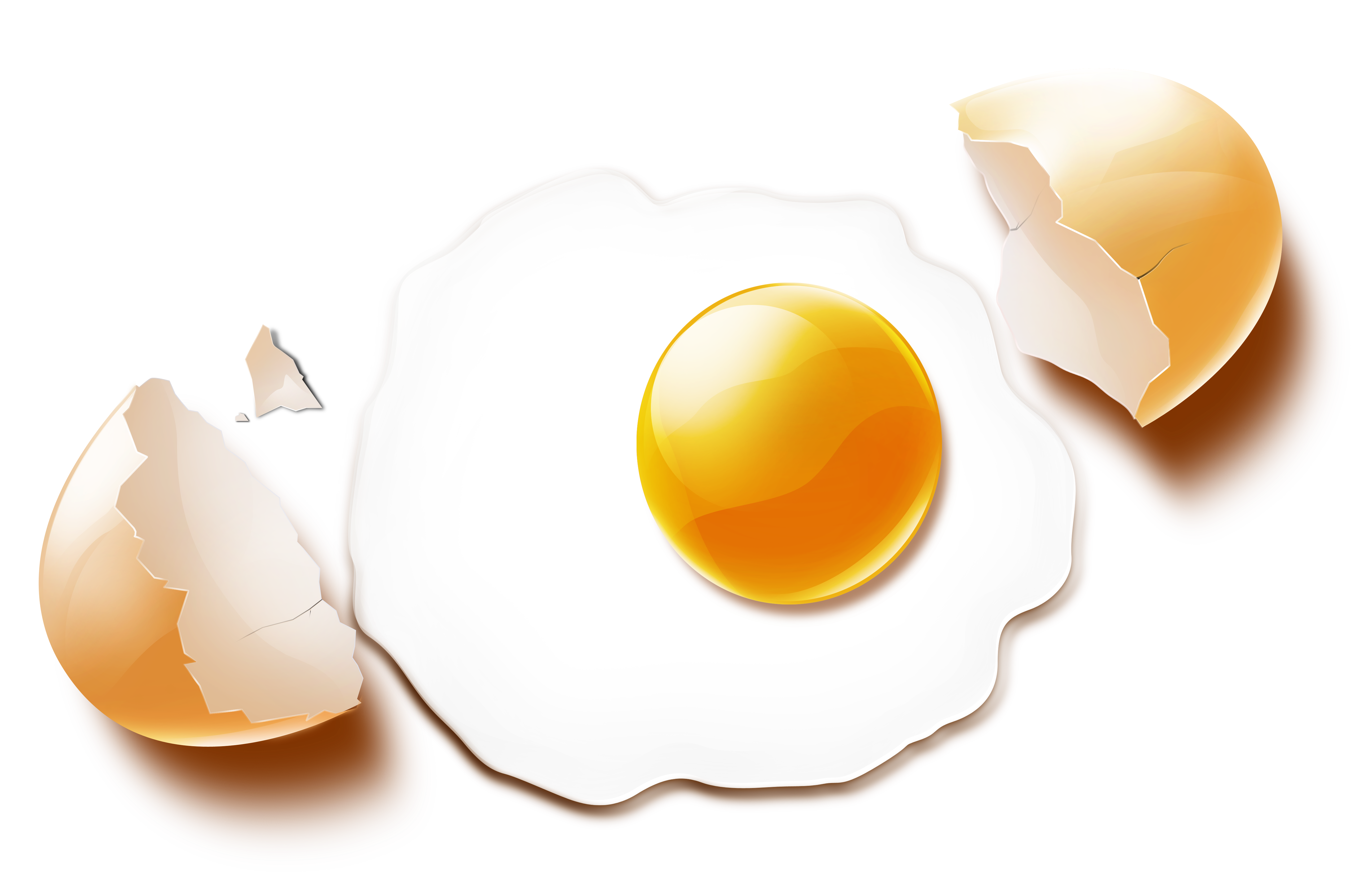 Fried egg Transparent PNG Image