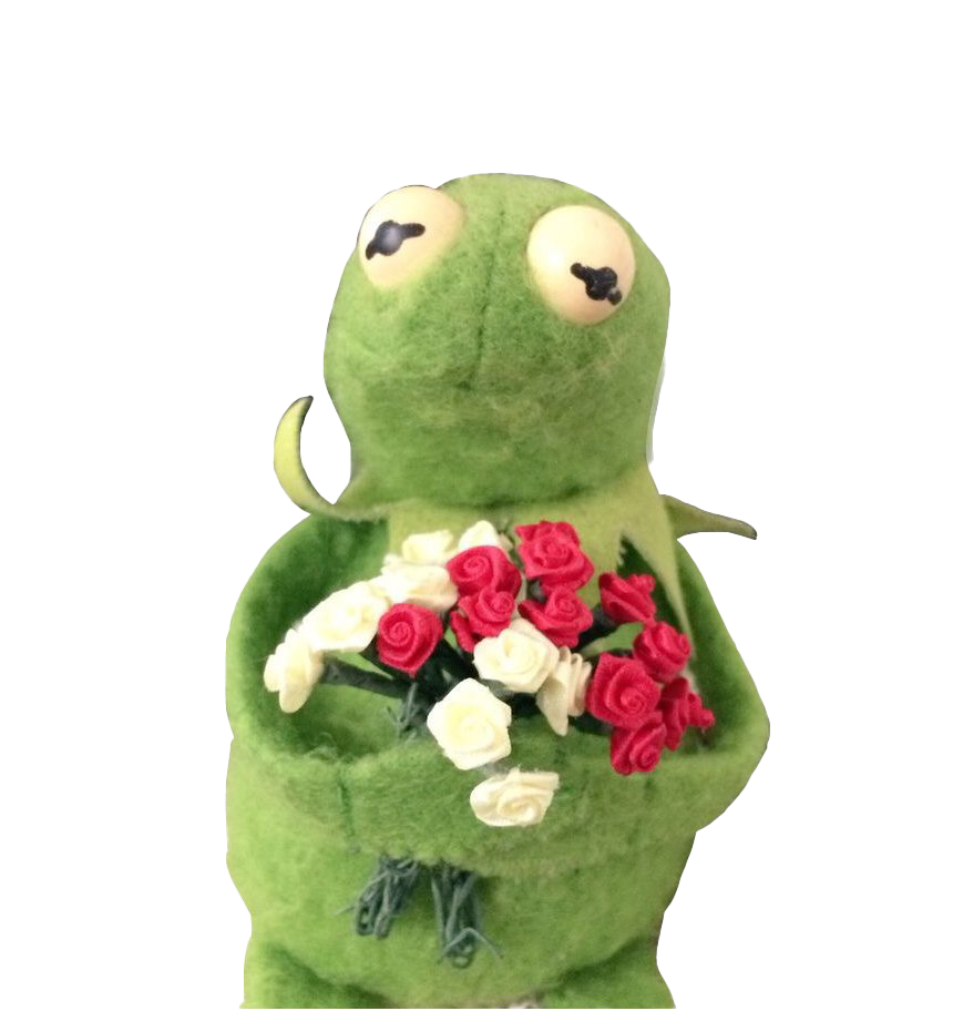 Photos The Frog Kermit PNG Image High Quality PNG Image