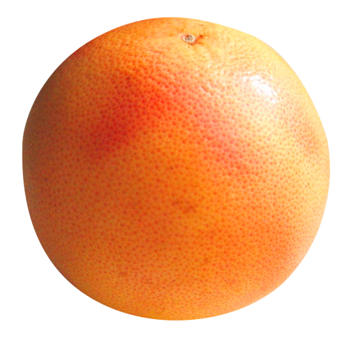 Grapefruit Pic Free Clipart HQ PNG Image