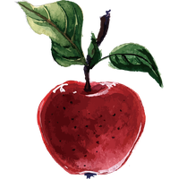 Plant-Based Illustrator Apple Packs Diet Vector Adobe PNG Image