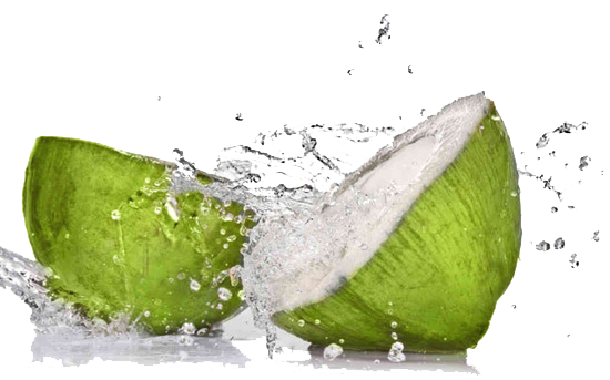 Download Fruit Water Splash Png Hq Png Image Freepngimg