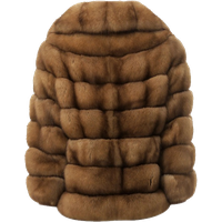 Fur coat PNG
