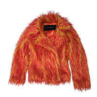 Fur coat PNG