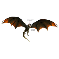 Fantasy Game Dragon Thrones Of