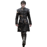 Fashion Thrones Sansa Of Stark Jacket Game PNG Image