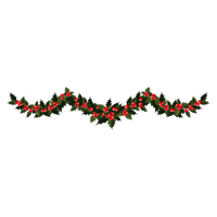 Garland Transparent Transparent PNG Image