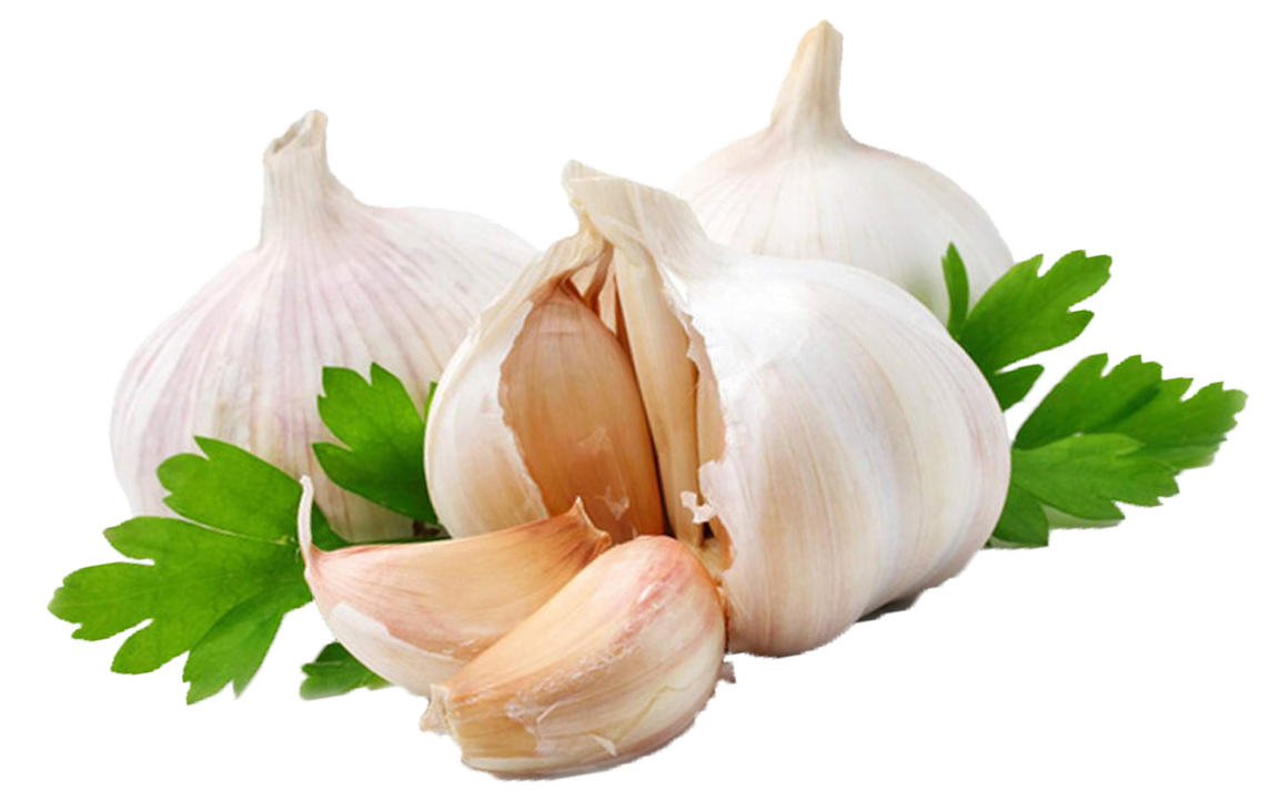 Garlic Png Image PNG Image