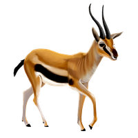 Gazelle Clipart Transparent HQ PNG Download | FreePNGImg