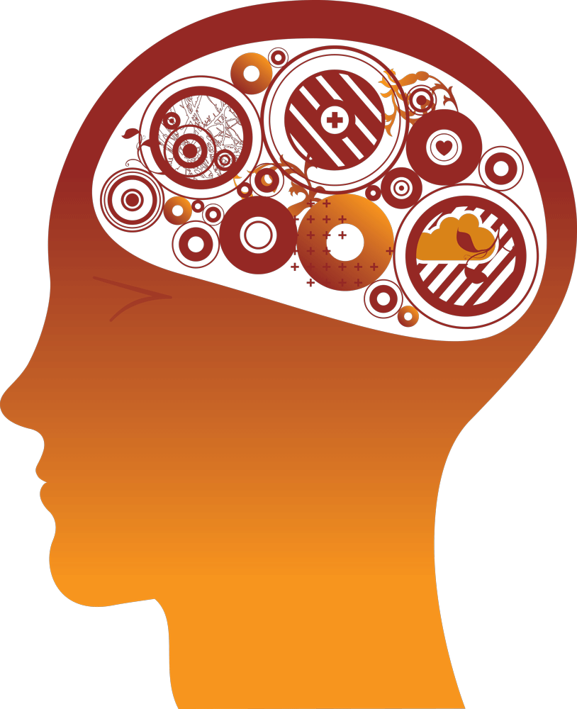 Brain Gears Human PNG Download Free PNG Image