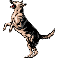 German Shepherd PNG