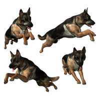 German Shepherd PNG