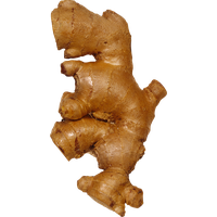 Ginger Transparent PNG Image