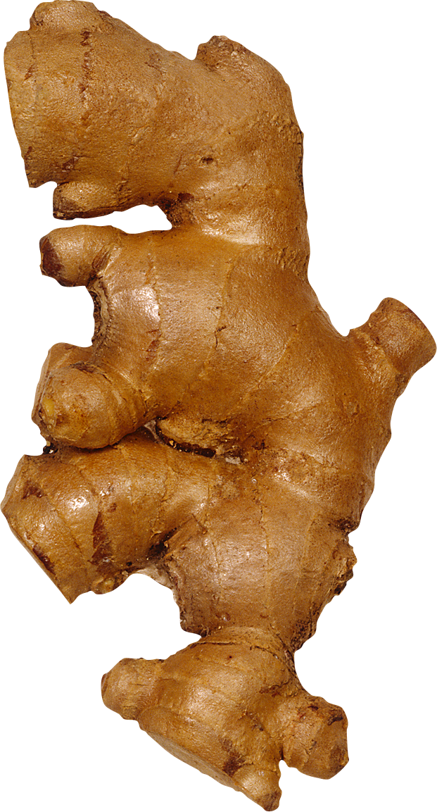 Ginger Transparent PNG Image