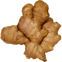 Ginger Transparent PNG Image