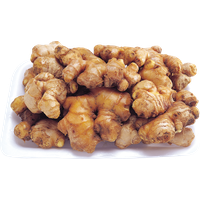 Ginger Transparent PNG Image