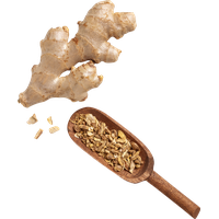 Ginger Transparent PNG Image