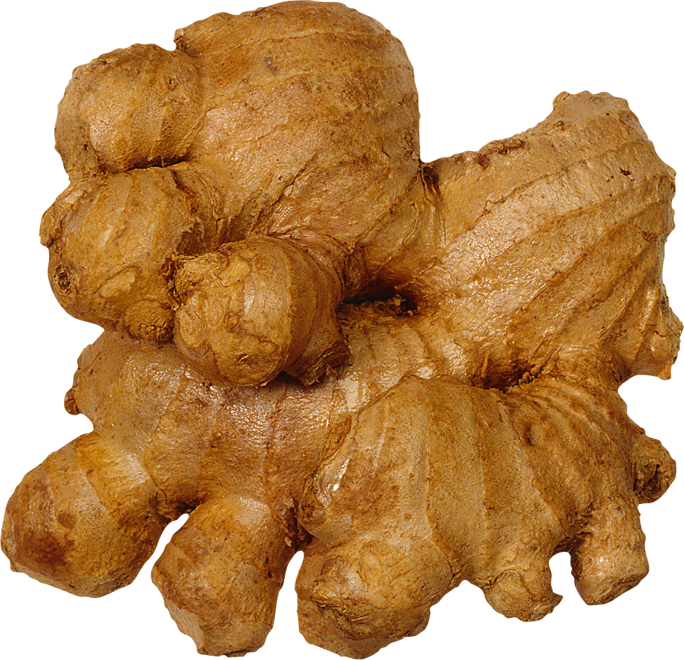 Ginger Transparent PNG Image