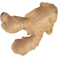 Ginger Transparent PNG Image