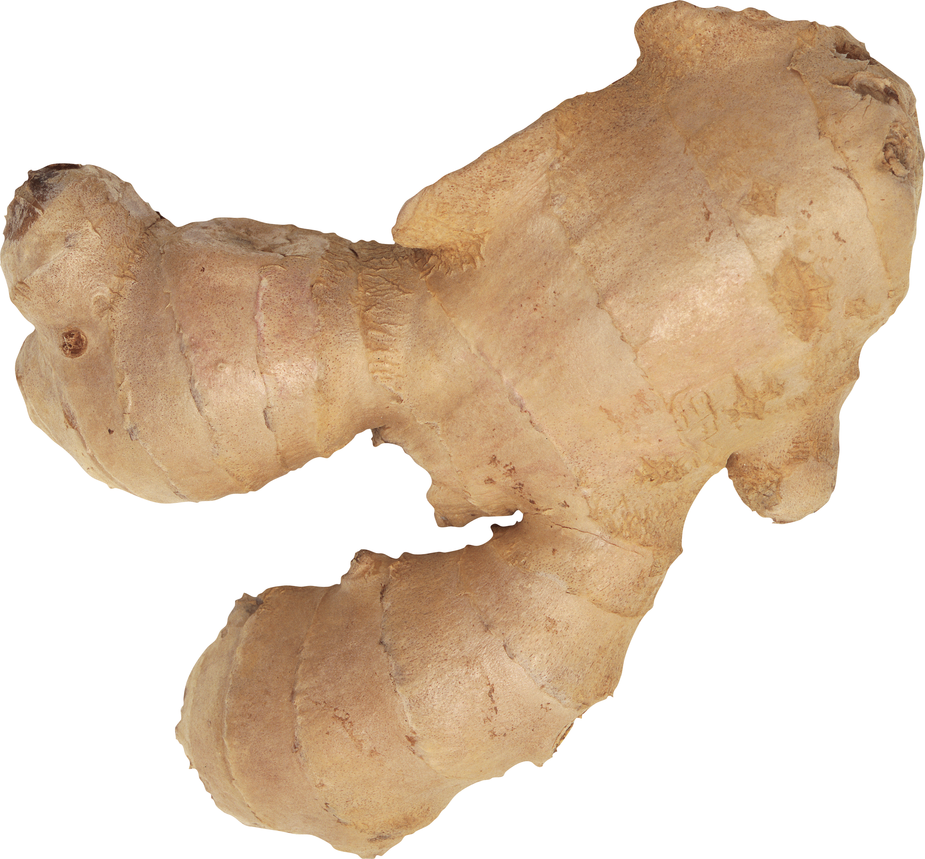 Ginger Transparent PNG Image
