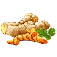 Ginger Transparent PNG Image